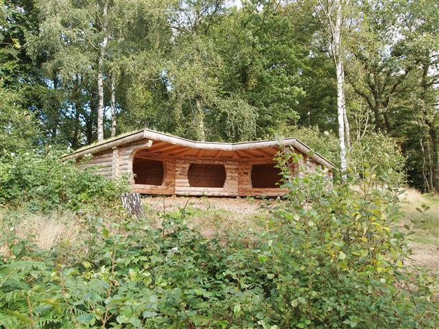 Shelter